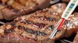 Pre-Grilling Steak Temp Guide (With Chart) Steak Thermometer