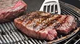Well Done Grilled Meal